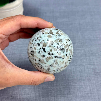 Kiwi Jasper Sphere, 2.66 in. - Itsy's Crystal Cove LLC