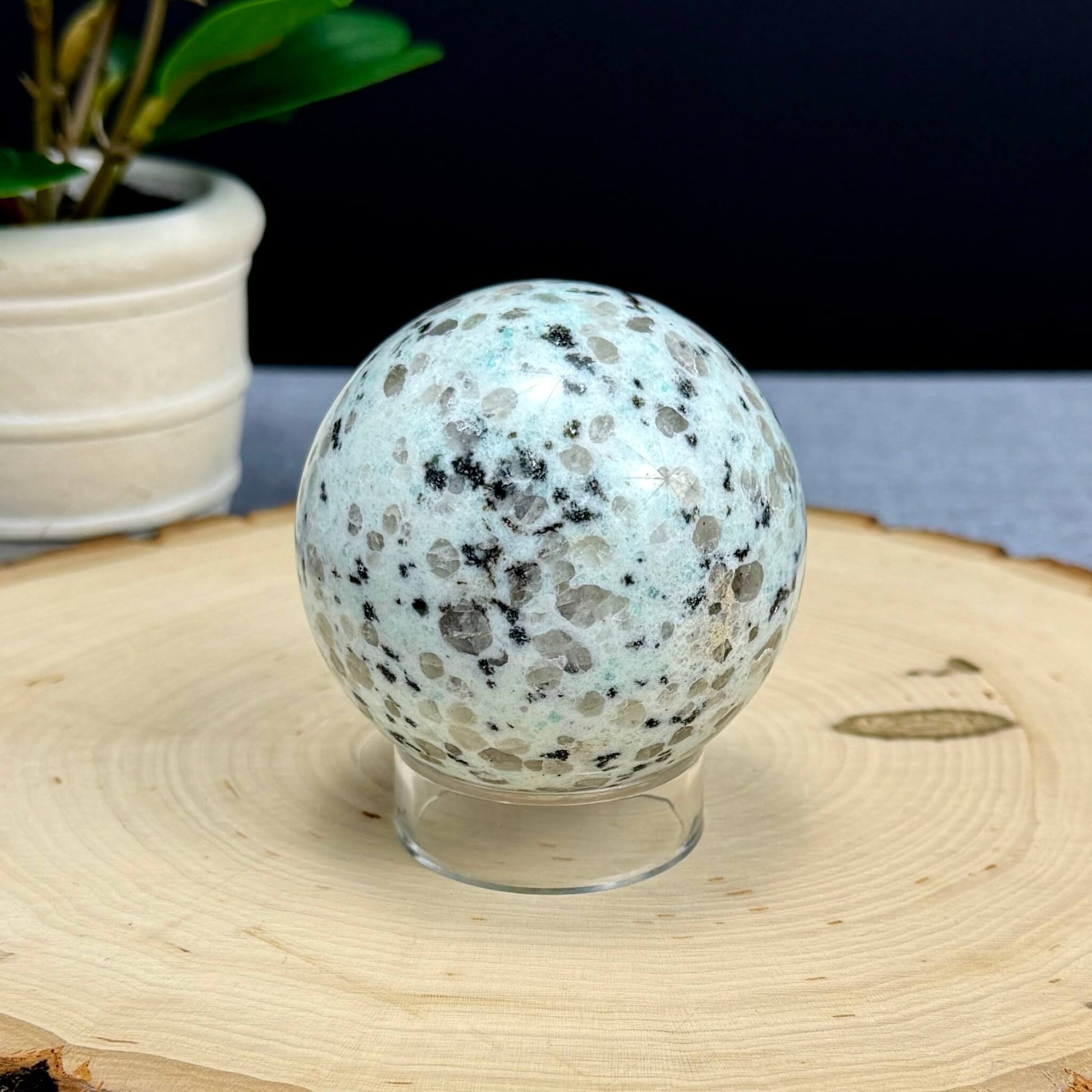 Kiwi Jasper Sphere, 2.66 in. - Itsy's Crystal Cove LLC