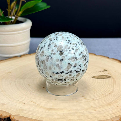 Kiwi Jasper Sphere, 2.66 in. - Itsy's Crystal Cove LLC