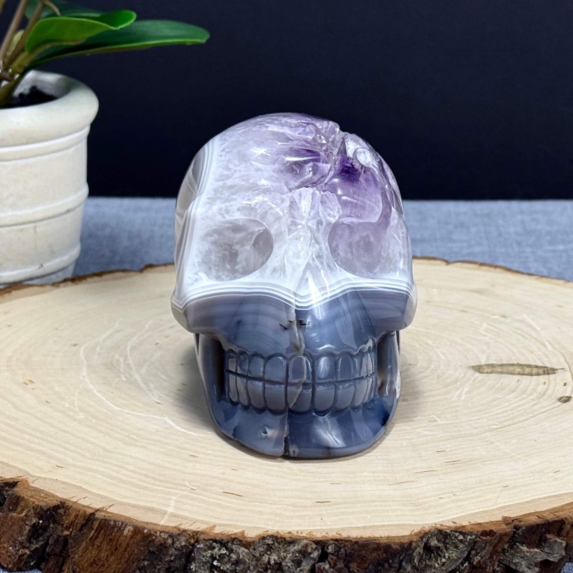Agate and Amethyst Skull Carving - Itsy's Crystal Cove LLC