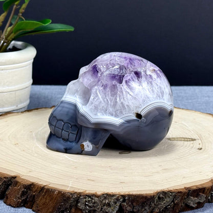 Agate and Amethyst Skull Carving - Itsy's Crystal Cove LLC