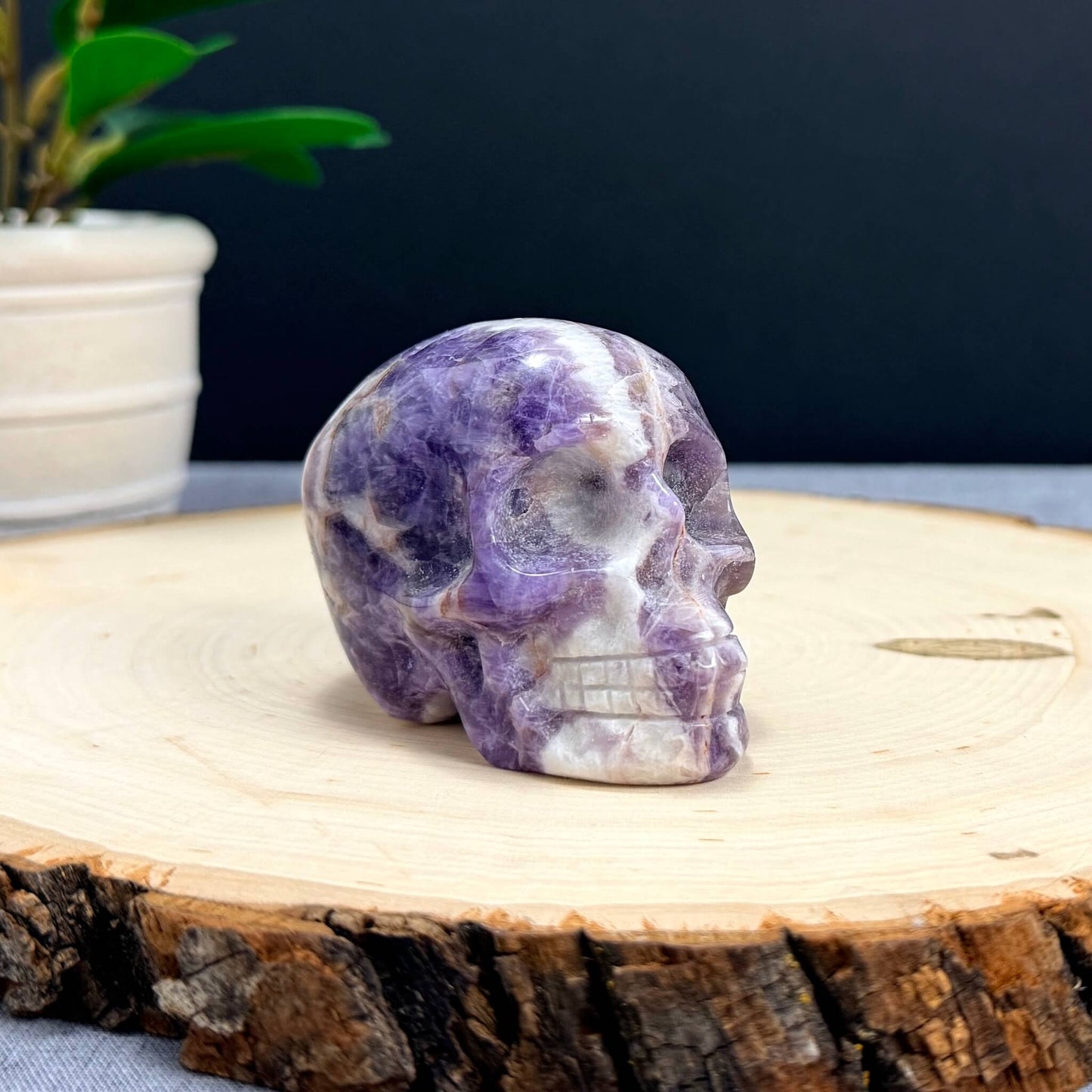 Chevron Amethyst Skull Carving A, 2.95 in. - Itsy's Crystal Cove LLC