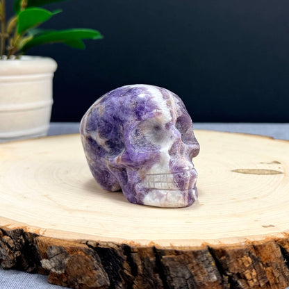 Chevron Amethyst Skull Carving A, 2.95 in. - Itsy's Crystal Cove LLC