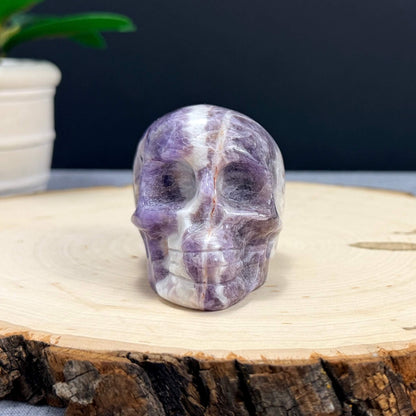 Chevron Amethyst Skull Carving A, 2.95 in. - Itsy's Crystal Cove LLC